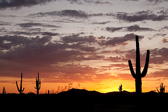 Tucson